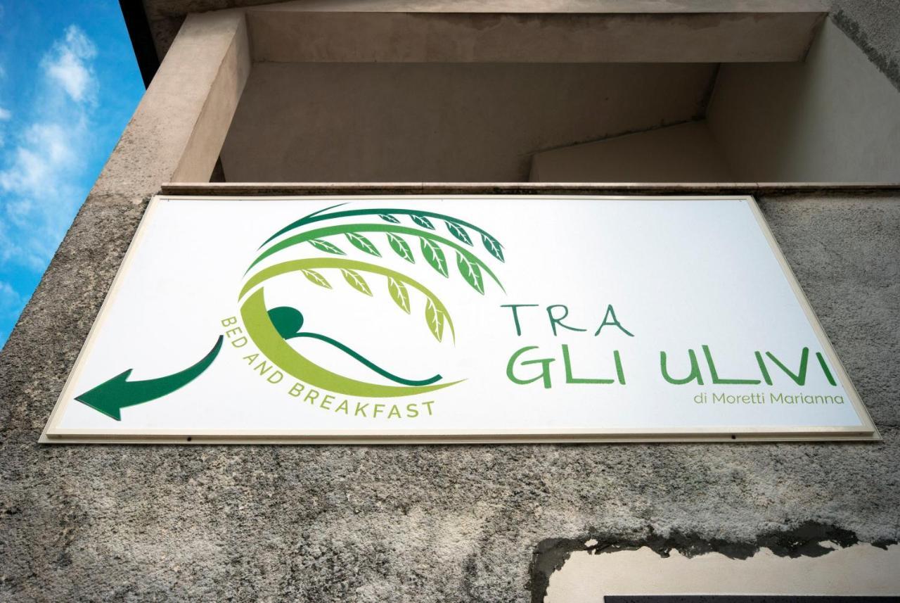 B&B Tra Gli Ulivi 로카 산 지오반니 외부 사진